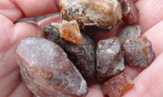 В Житомирской области будут легально добывать янтарь