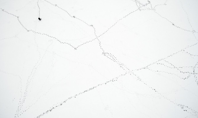 Против директора аэропорта Одессы открыли дело из-за фиктивной уборки снега на 2 млн грн