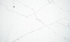 Против директора аэропорта Одессы открыли дело из-за фиктивной уборки снега на 2 млн грн