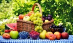 Майские морозы снизили прогноз сбора фруктов и ягод в Украине