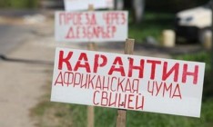 Вспышка АЧС зафиксирована в Одесской области