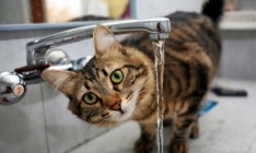 В Киеве 4 жилмассивы остались без горячей воды из-за долгов