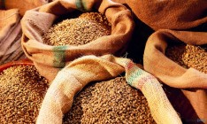 Турция отменила все ограничения на импорт пшеницы из России