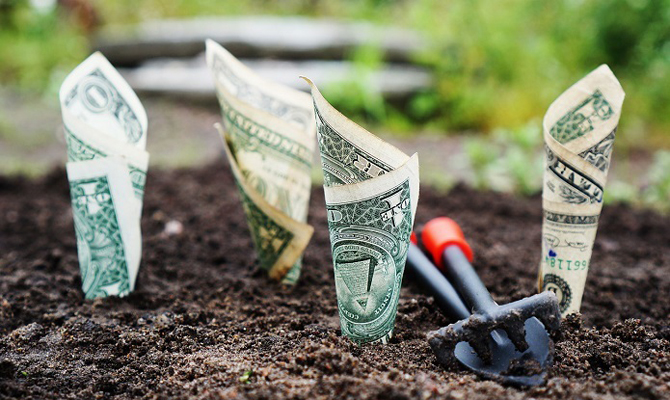 На выплату дотаций аграриям в июне направили 725 млн