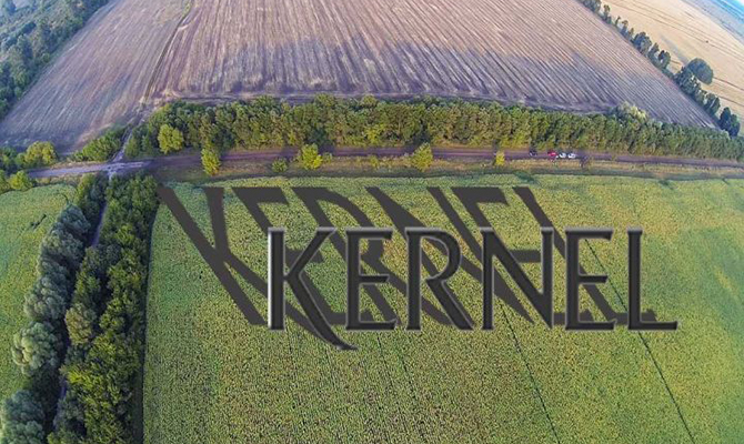 «Кернел» Веревского стал 100% владельцем крупного агрохолдинга