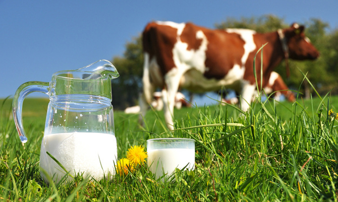 Девять украинских производителей молочки вышли на китайский рынок