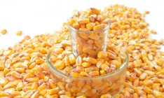 Monsanto запускает семенной завод в Украине