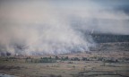 В чернобыльской зоне горит 25 га леса