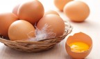 Крупный производитель яиц продал акций на 579 тыс. долларов