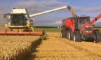 Украина к 11 июля собрала 3,7 млн тонн ранних зерновых и зернобобовых