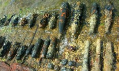 В Киеве с начала года изъяли 517 взрывоопасных предметов времен Второй мировой войны