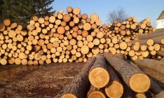 В ЕС грозят отказом в кредите из-за леса-кругляка
