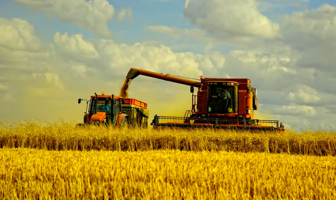 Украина собрала 10 миллионов тонн зерна нового урожая, – МинАПК