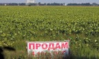 МВФ отложил требование по земельной реформе в Украине