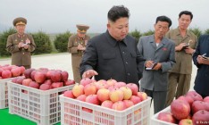 Экономика Северной Кореи в 2016 году росла рекордными за последние 17 лет темпами