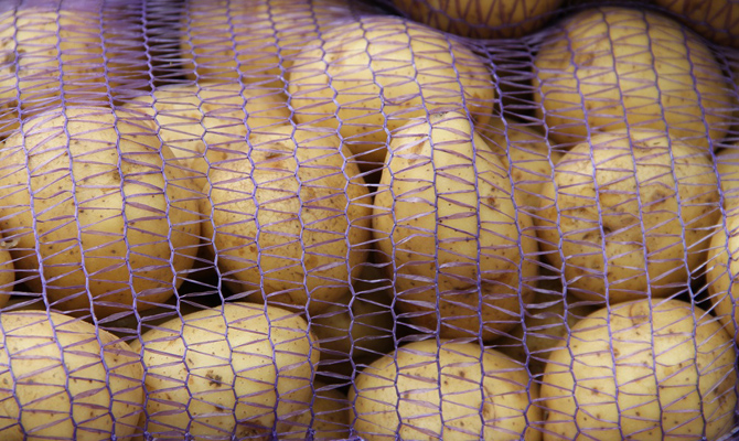 Беларусь выкупила у Украины почти 100% экспортного картофеля