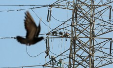 Украина готова возобновить поставки электроэнергии в Беларусь