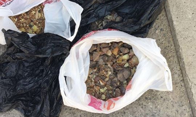 На Волыни у контрабандистов изъяли янтарь на 1 млн грн