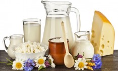 Украина увеличила экспорт молочки почти на 80%