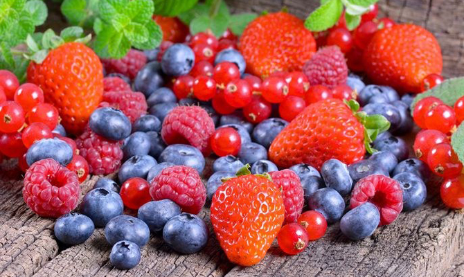 В Киевской области построят ягодный кооператив за 30 млн грн