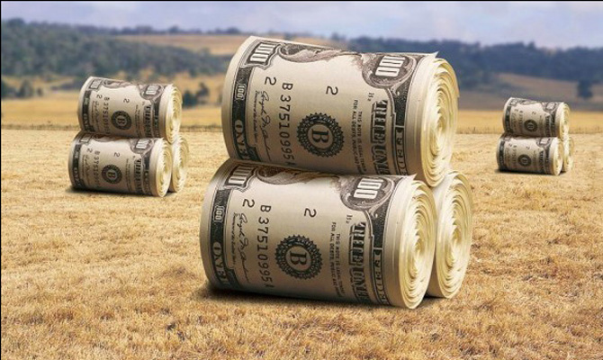 Убытки от коррупции в агропроме превысили 2 млрд, - НАБУ