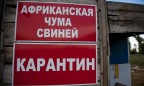 Вспышки АЧС зафиксированы еще в двух областях Украины