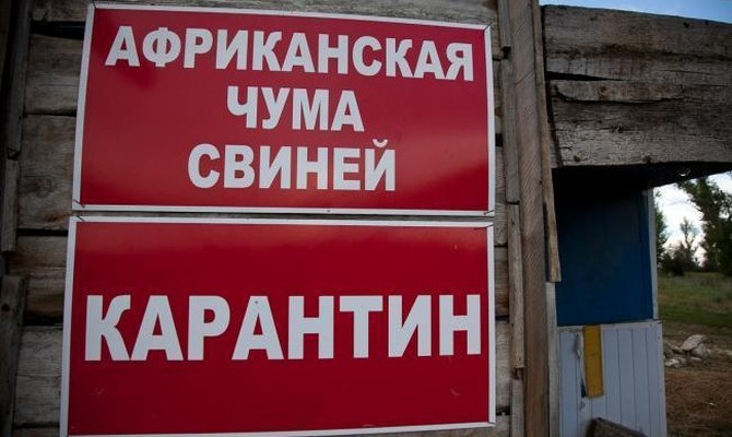 Вспышки АЧС зафиксированы еще в двух областях Украины