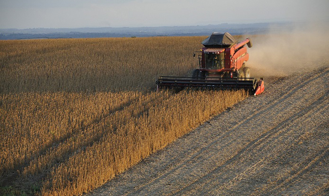 IGC увеличил прогноз урожая зерна в Украине на 3,6 млн тонн