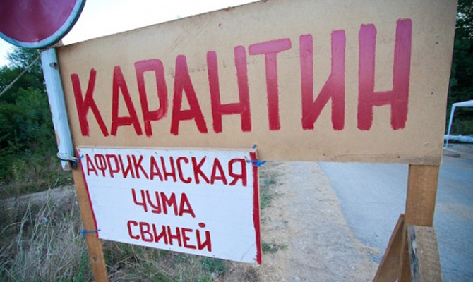 В Киевской области зафиксировали вспышку АЧС