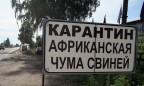 В четырех областях снят карантин по АЧС