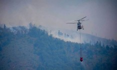 Украина передаст Грузии гуманитарную помощь