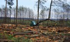 Порошенко подписал закон об усилении ответственности за нелегальную вырубку леса