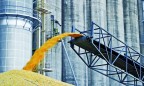 Перевалка зерновых в Украине подешевеет на 15-25% в ближайшие годы, - Вецкаганс