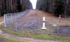 Польша построит на границе с Украиной и Беларусью забор против диких кабанов