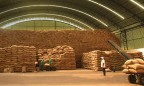 Сингапурская корпорация Olam построит зерновой терминал в Украине