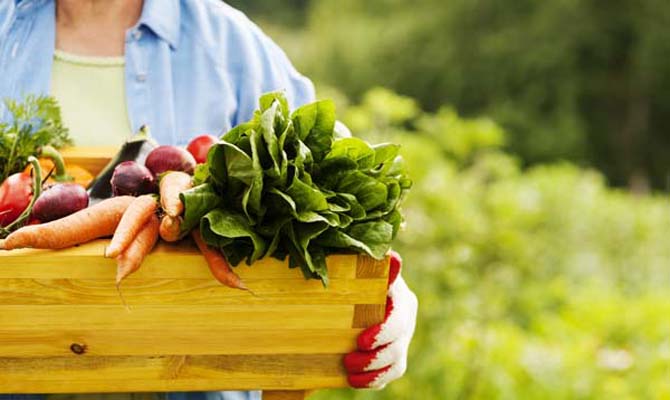 Кабмин утвердил программу поддержки фермерства на 2018-2020 годы