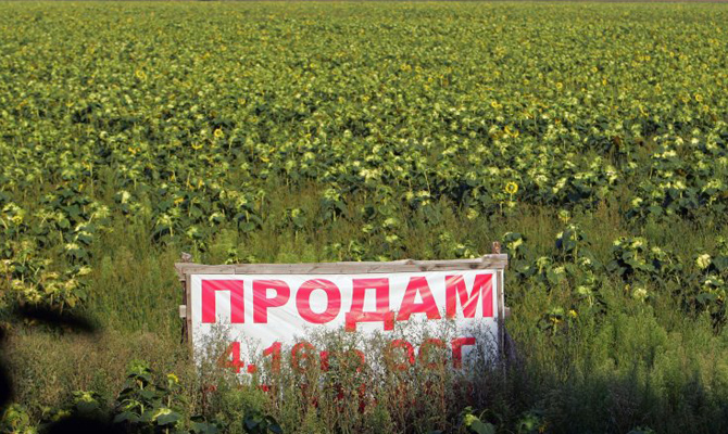 Результаты реформ будут ощутимы через год, - Данилюк