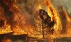 В Харьковской области горит 70 га леса