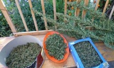 В Запорожской области полиция изъяла наркотики на 500 тыс. грн