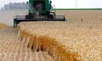 В Украине создали нового зернотрейдера