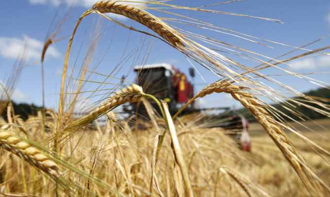 Украина планирует экспортировать 16,5 миллиона тонн пшеницы