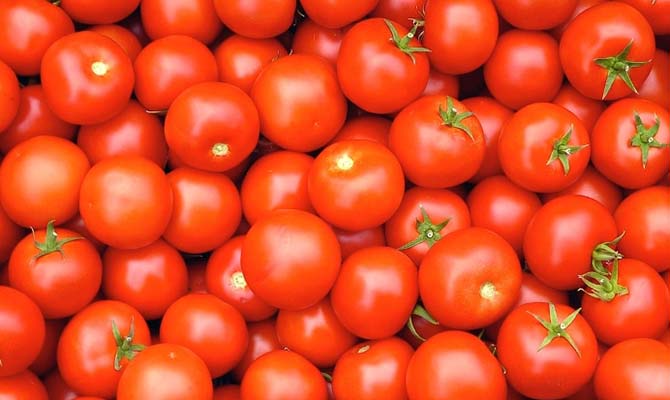 Россия разрешила ввоз турецких помидоров