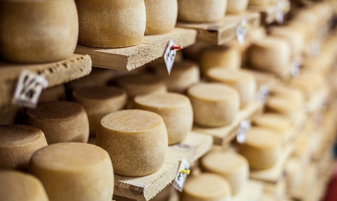 Австрийцы запускают сыроварню на Западной Украине