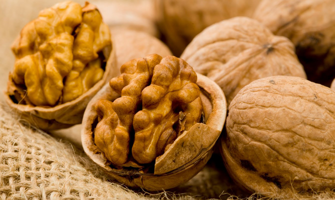 Украина вошла в тройку мировых производителей орехов