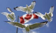 Гройсман: Украина инициирует начало диалога с Канадой по безвизу