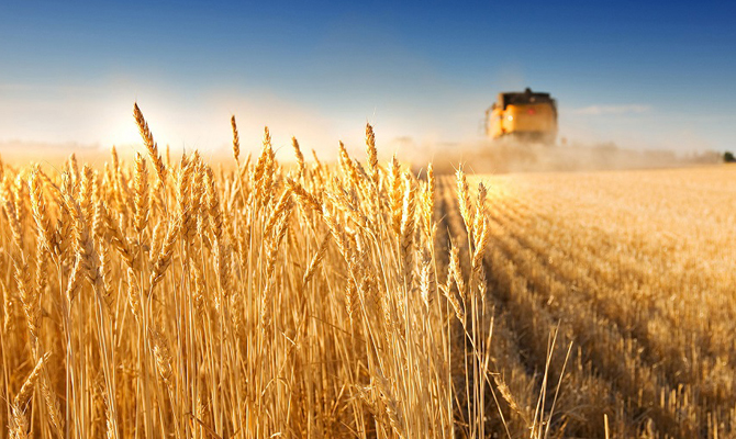 Украина увеличила экспорт агропродукции в ЕС на 40%