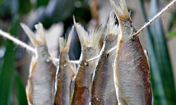 В Киеве зафиксирован новый случай ботулизма