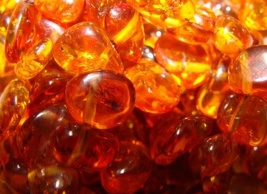 Украинец пытался вывезти в Польшу почти 20 кг янтаря