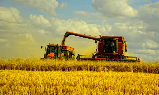 USDA повысило прогноз мирового производства пшеницы