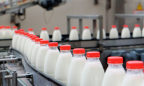 Украина увеличила экспорт молочной продукции на 73,2%